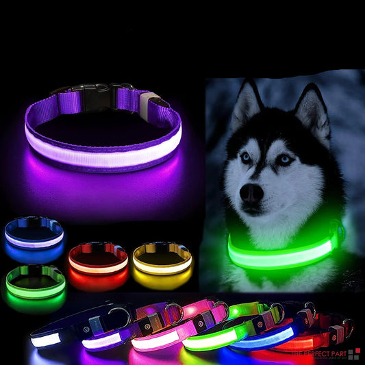 LED Adjustable Waterproof Dog Collar With Blinking and Flashing Lights. - Naved Products