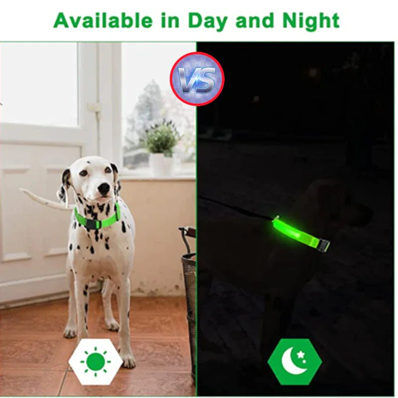 LED Adjustable Waterproof Dog Collar With Blinking and Flashing Lights. - Naved Products
