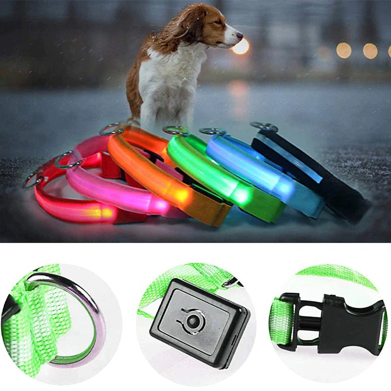 LED Adjustable Waterproof Dog Collar With Blinking and Flashing Lights. - Naved Products