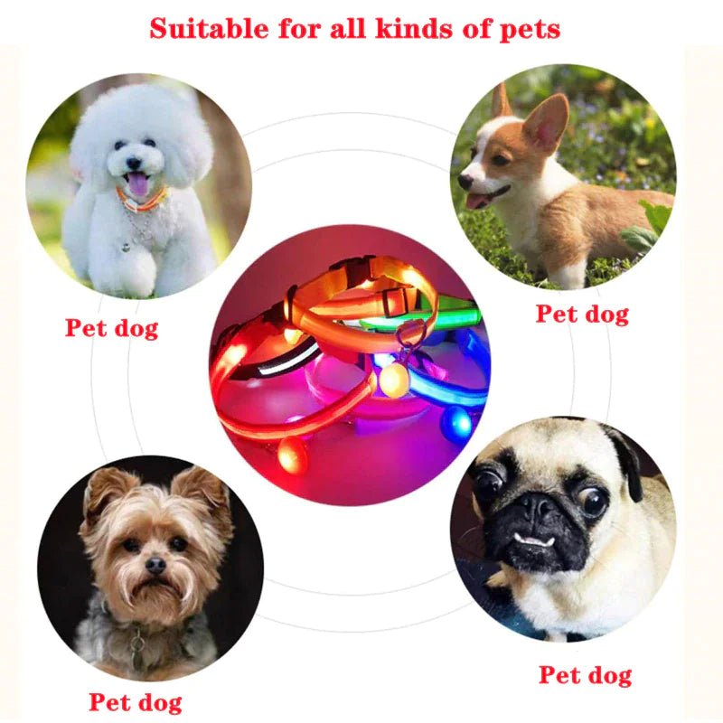 LED Adjustable Waterproof Dog Collar With Blinking and Flashing Lights. - Naved Products