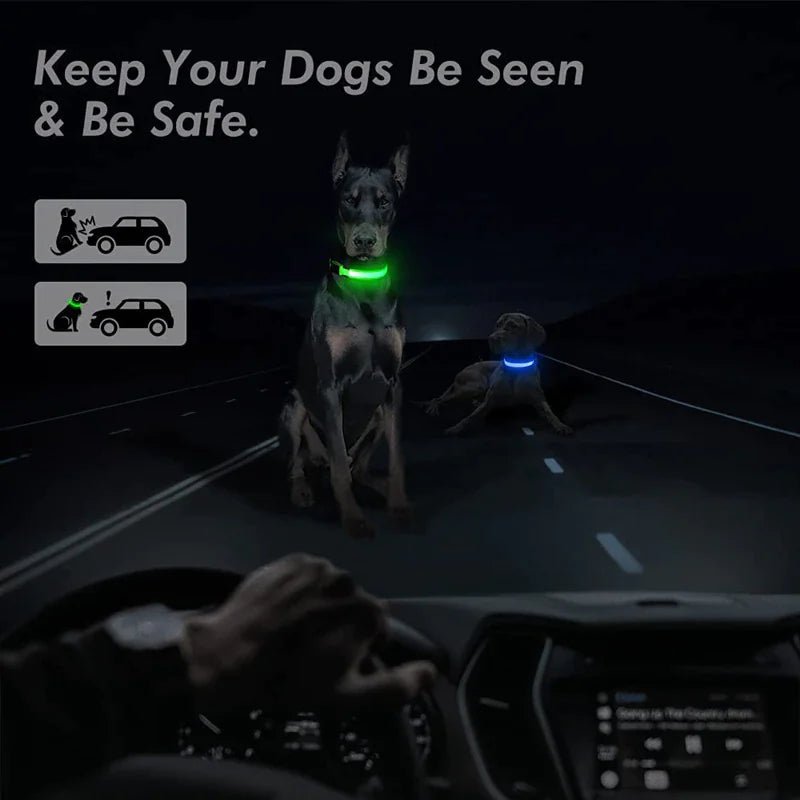 LED Adjustable Waterproof Dog Collar With Blinking and Flashing Lights. - Naved Products