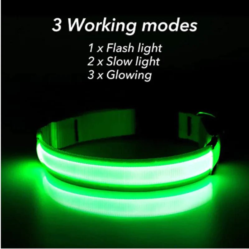 LED Adjustable Waterproof Dog Collar With Blinking and Flashing Lights. - Naved Products