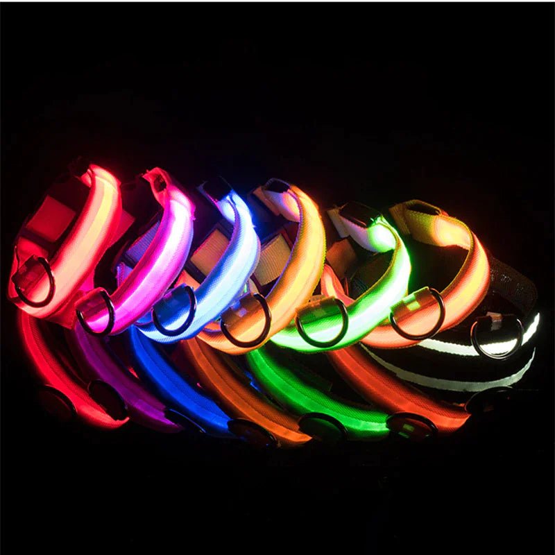 LED Adjustable Waterproof Dog Collar With Blinking and Flashing Lights. - Naved Products