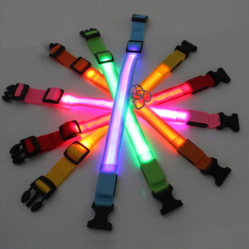 LED Adjustable Waterproof Dog Collar With Blinking and Flashing Lights. - Naved Products