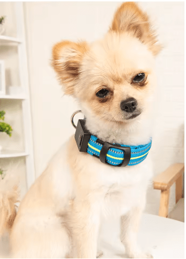 LED Adjustable Waterproof Dog Collar With Blinking and Flashing Lights. - Naved Products