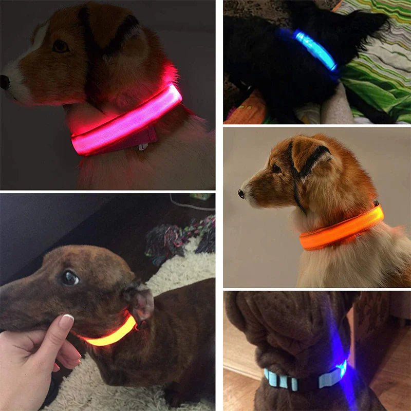 LED Adjustable Waterproof Dog Collar With Blinking and Flashing Lights. - Naved Products