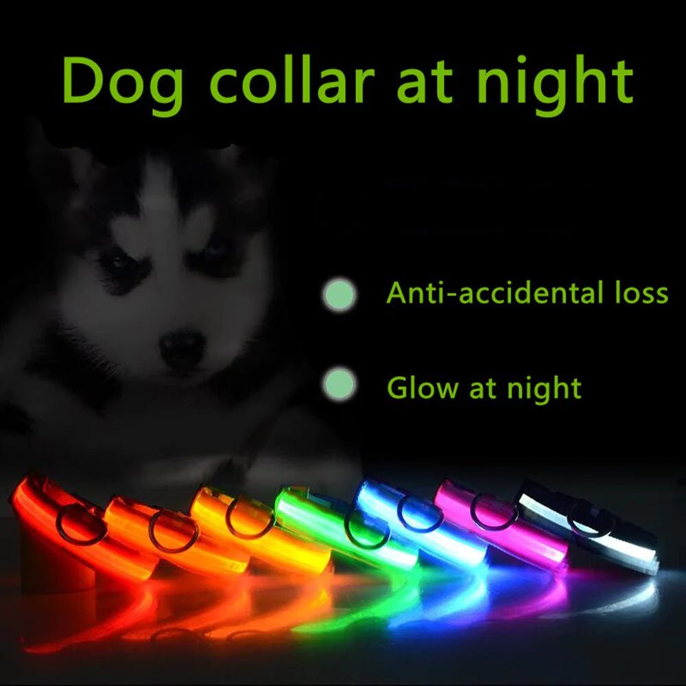 LED Adjustable Waterproof Dog Collar With Blinking and Flashing Lights. - Naved Products