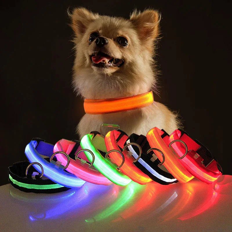 LED Adjustable Waterproof Dog Collar With Blinking and Flashing Lights. - Naved Products