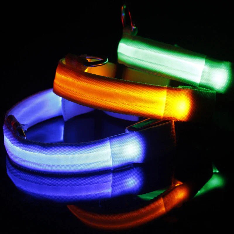 LED Adjustable Waterproof Dog Collar With Blinking and Flashing Lights. - Naved Products