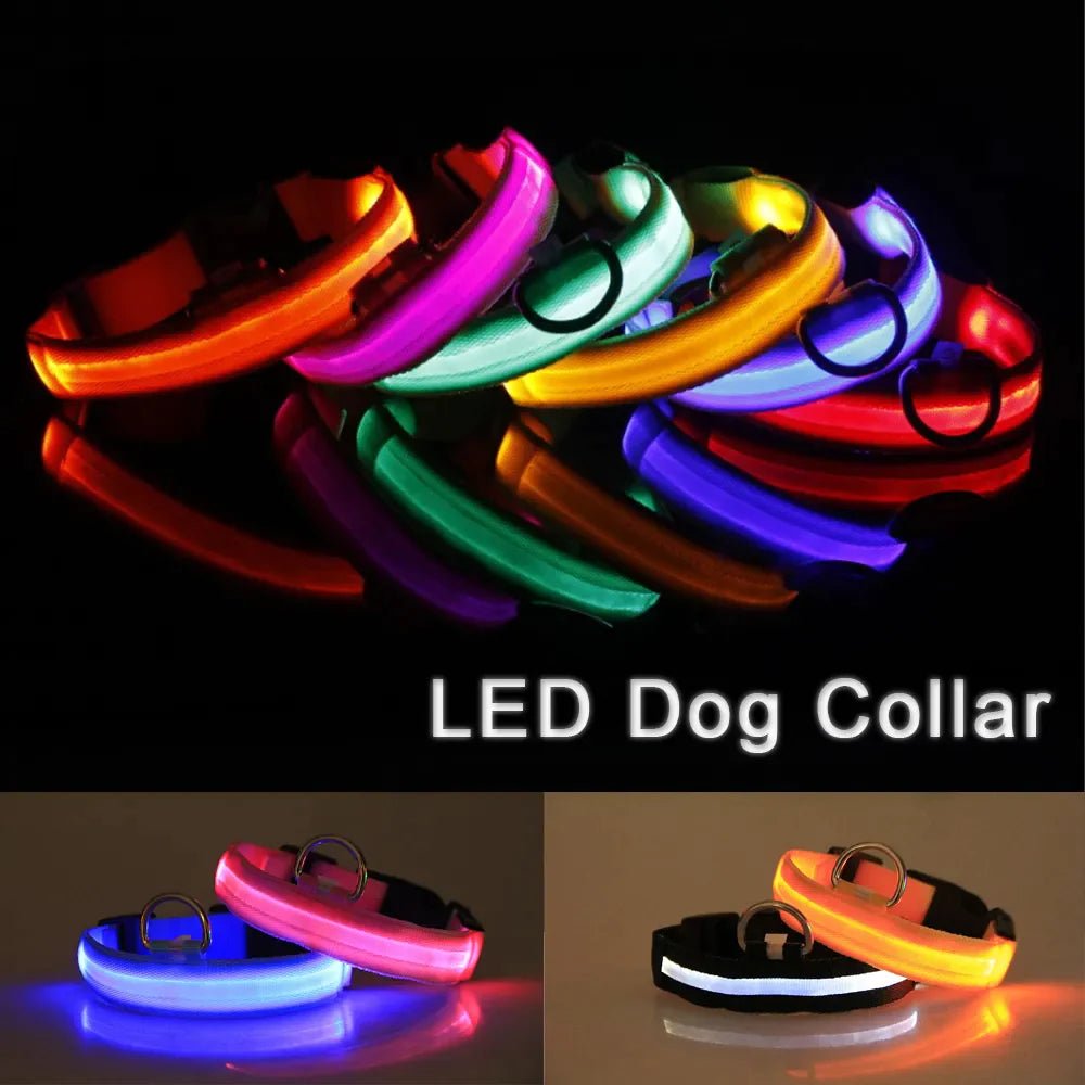 LED Adjustable Waterproof Dog Collar With Blinking and Flashing Lights. - Naved Products