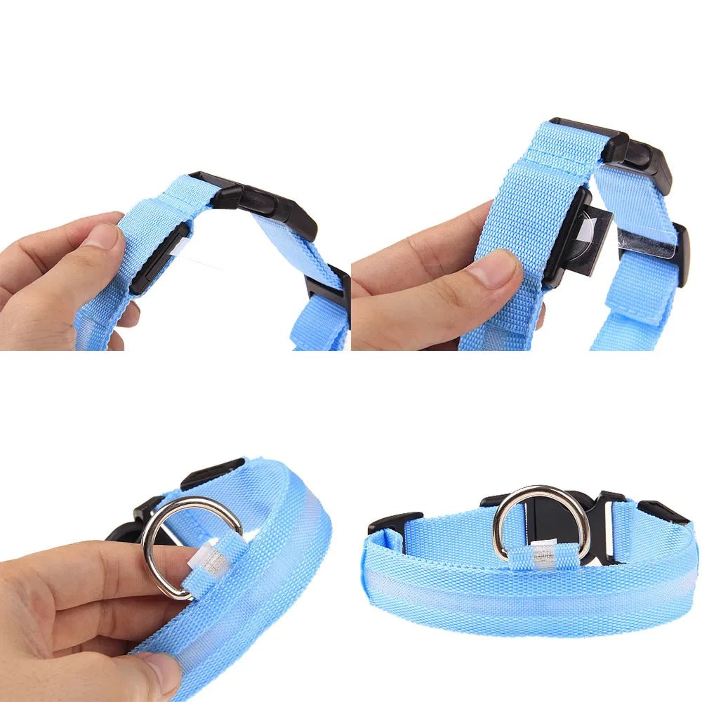 LED Adjustable Waterproof Dog Collar With Blinking and Flashing Lights. - Naved Products