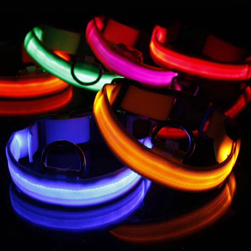 LED Adjustable Waterproof Dog Collar With Blinking and Flashing Lights. - Naved Products